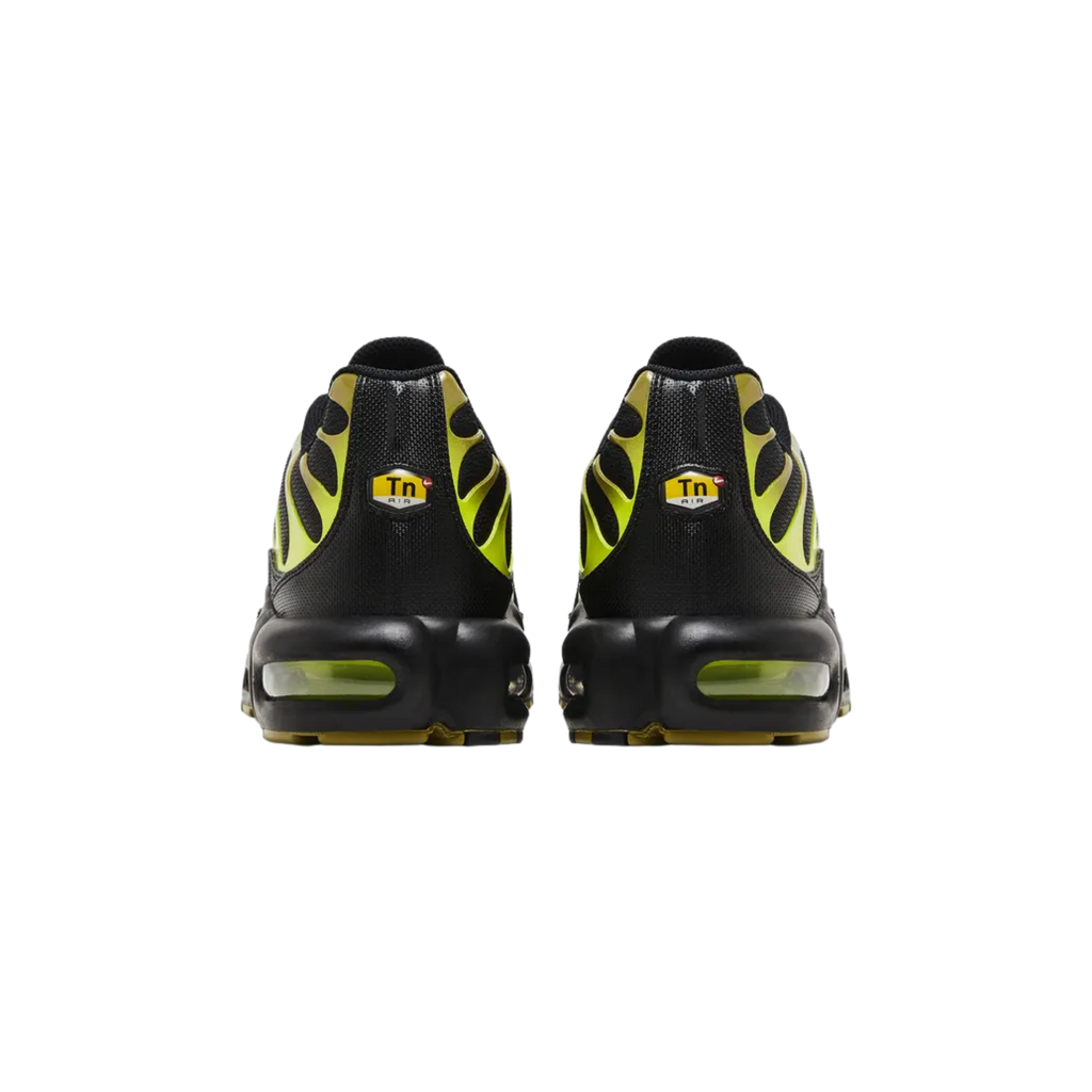 Elvare Club® TN