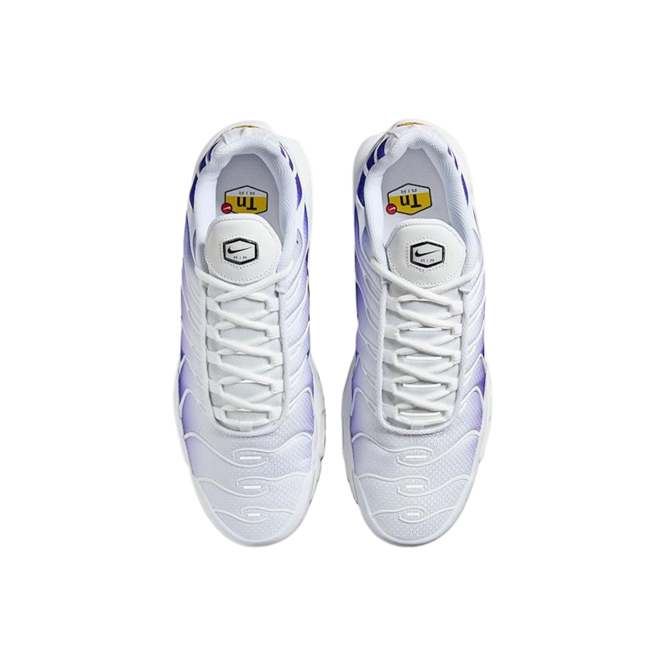 Elvare Club® TN