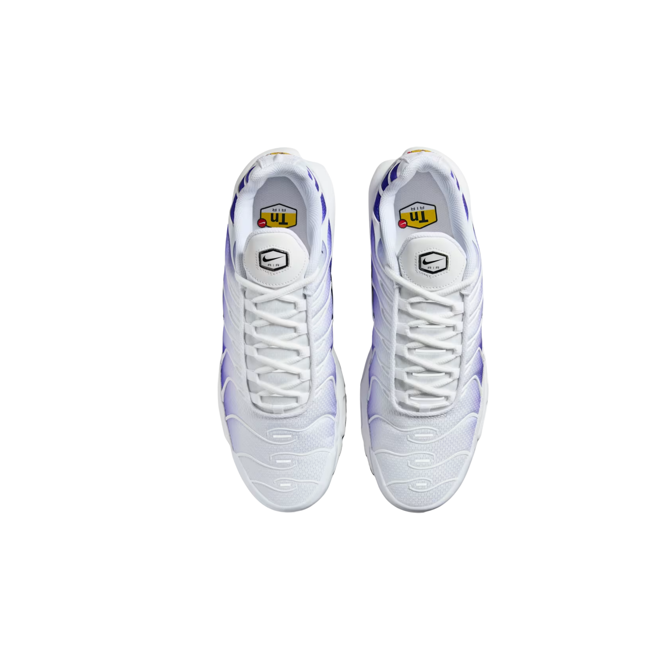 Elvare Club® TN
